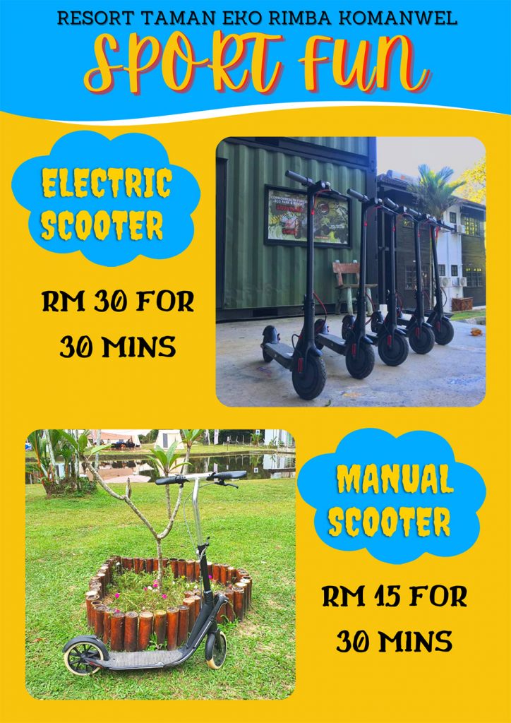 Electric Scooter and Manual Scooter