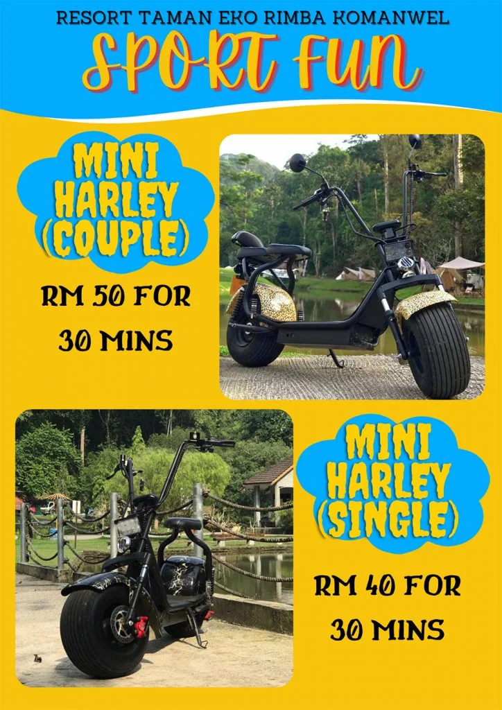 Mini Harley